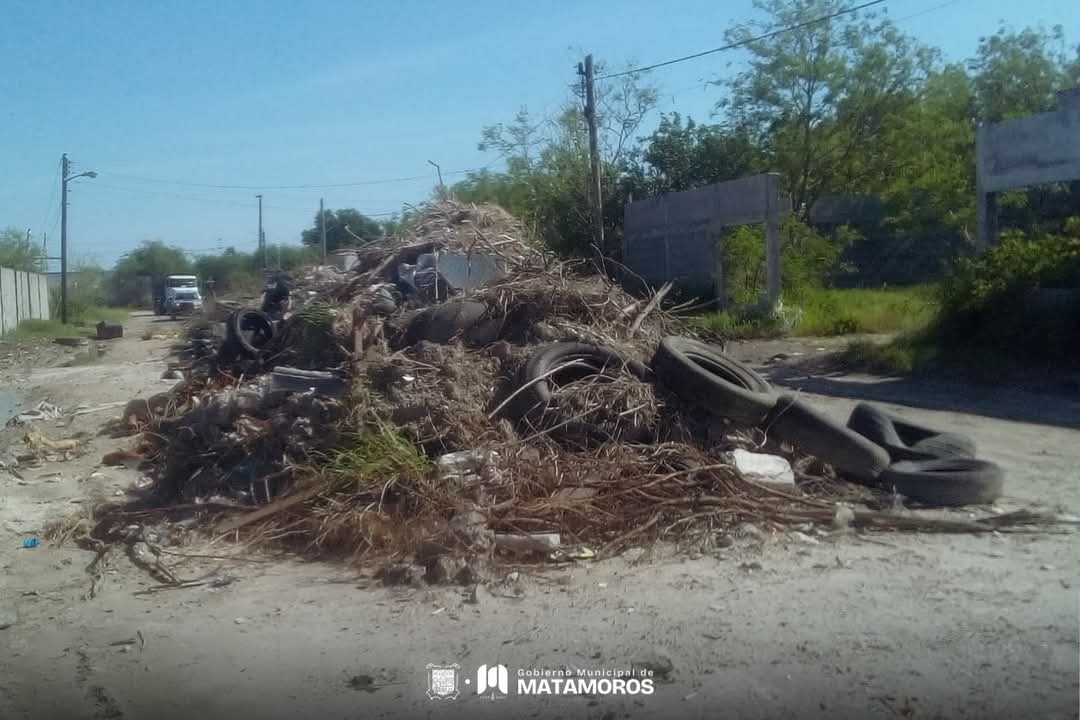 Limpieza en la Colonia Bienestar: Gobierno de Matamoros elimina basurero clandestino
