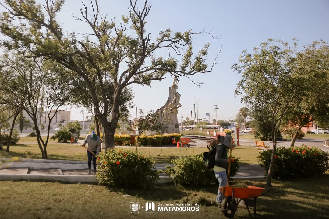 Gobierno de Matamoros realiza limpieza y mantenimiento en Av. Plan de Ayutla y Col. Mariano Matamoros, entre otras